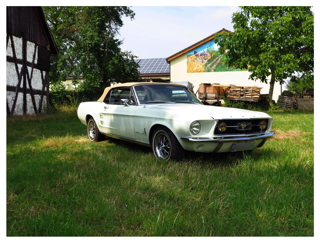 Mustang 2016 - 004_Bildgröße ändern.jpg