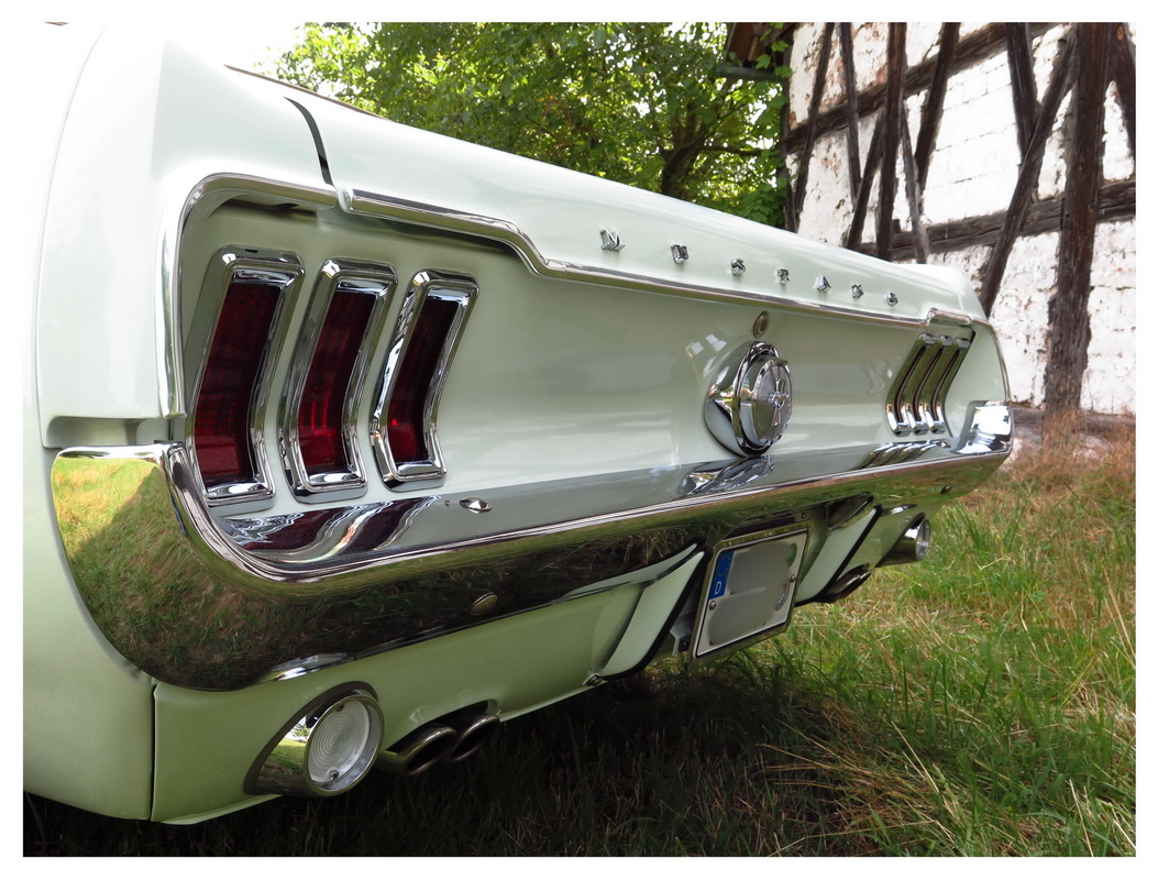 Mustang 2016 - 009_Bildgröße ändern.jpg