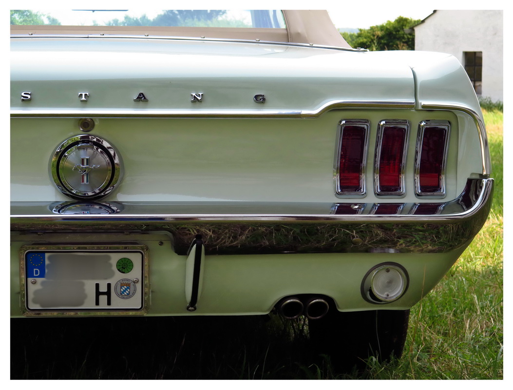 Mustang 2016 - 011_Bildgröße ändern.jpg