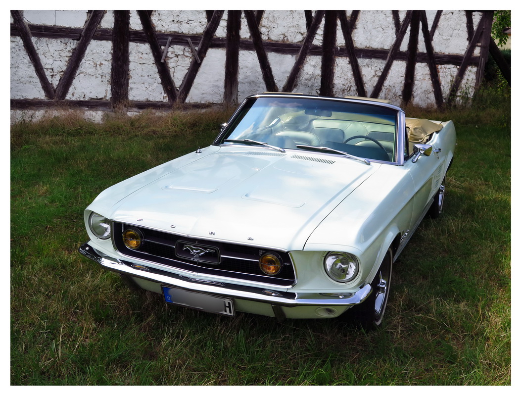 Mustang 2016 - 012_Bildgröße ändern.jpg