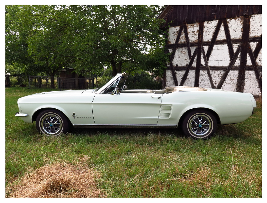 Mustang 2016 - 014_Bildgröße ändern.jpg