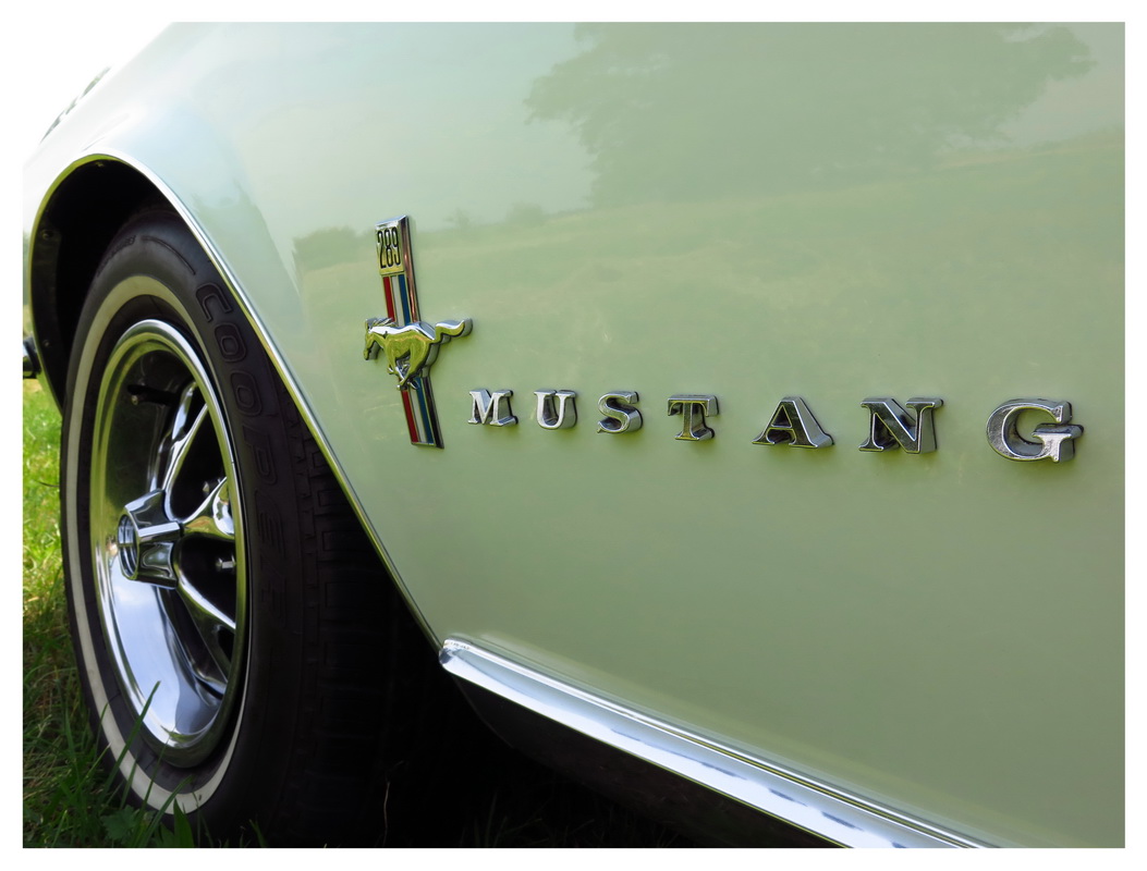 Mustang 2016 - 016_Bildgröße ändern.jpg