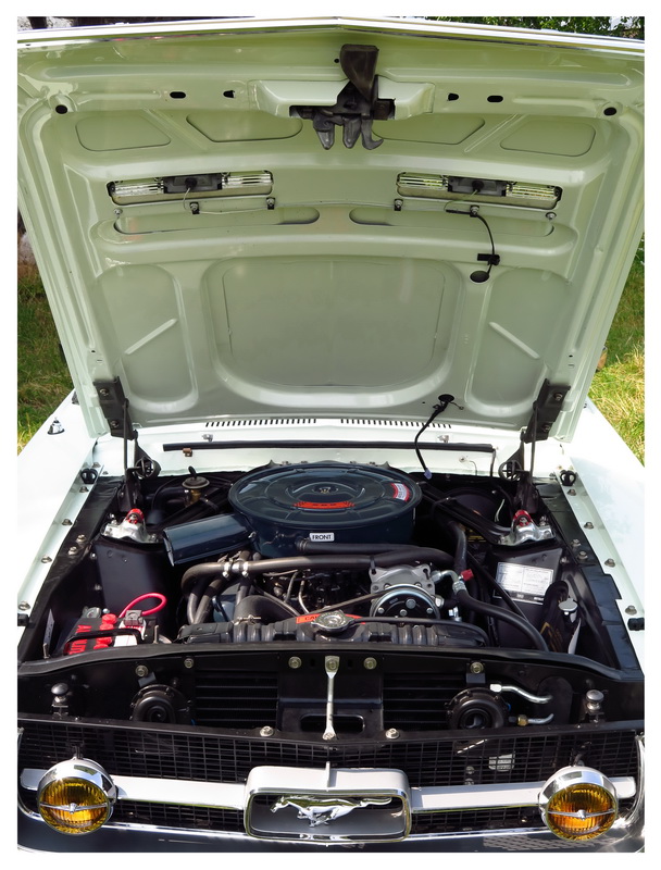 Mustang 2016 - 024_Bildgröße ändern.jpg