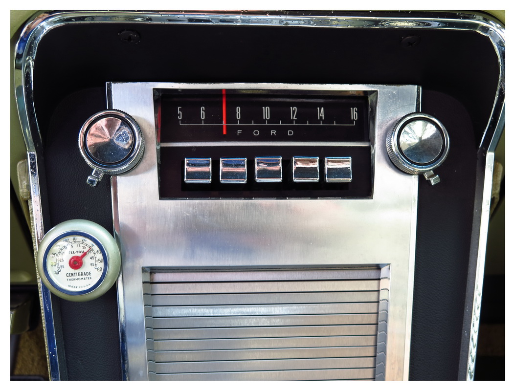 Mustang 2016 - 020_Bildgröße ändern.jpg