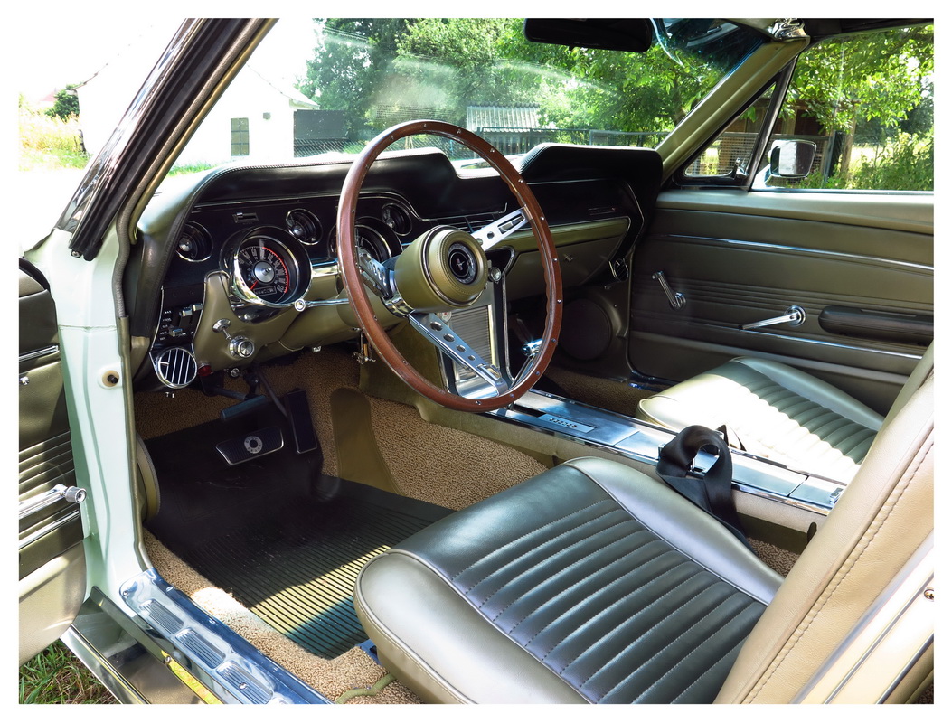 Mustang 2016 - 018_Bildgröße ändern.jpg