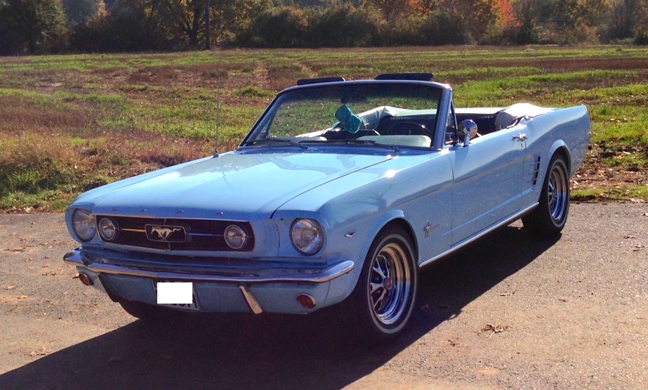 Stang 2.jpg