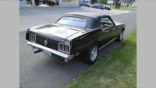 k-IMG_1560.PNG