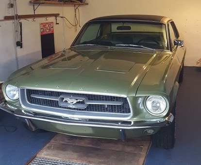 Bild Mustang2.jpg