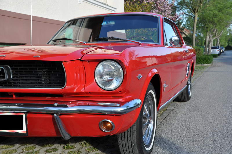 DSC_0397_resize.JPG