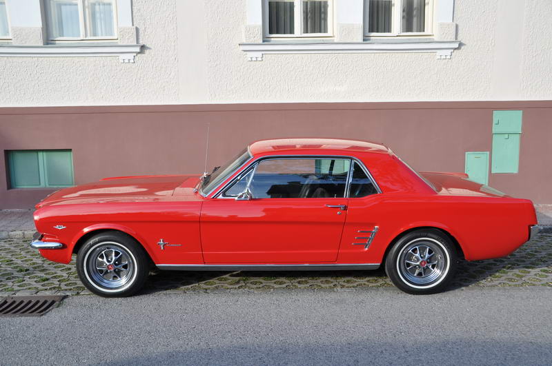 DSC_0400_resize.JPG