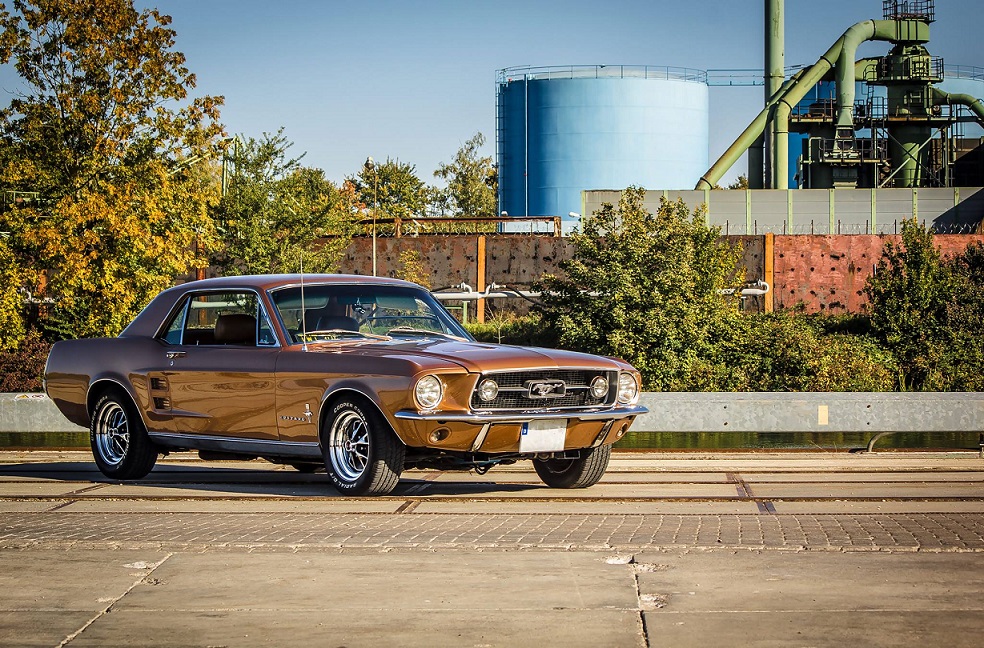 Mustang_002.jpg