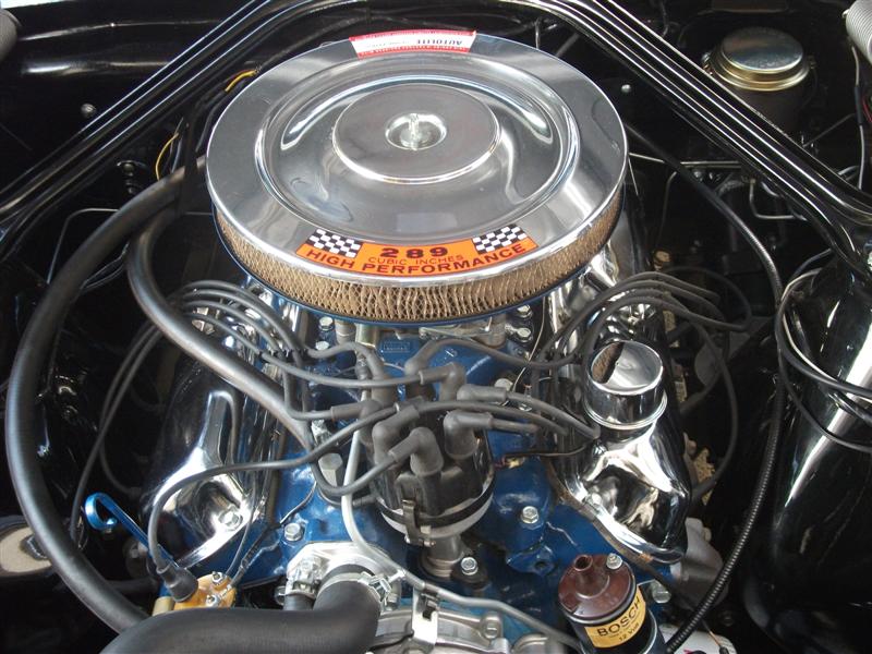 DSCF1365 (Medium).JPG
