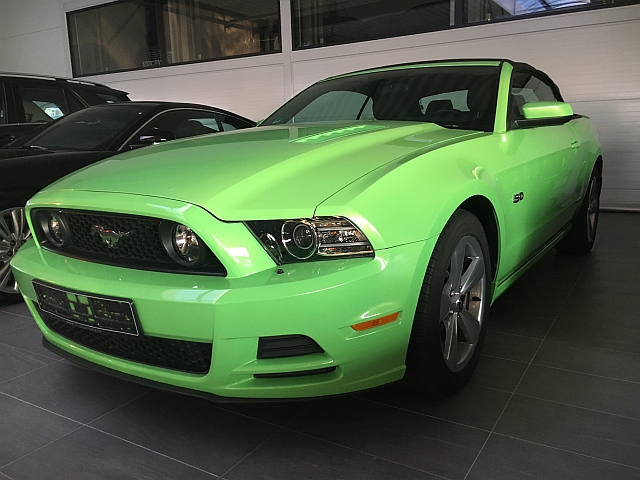Mustang1.jpg