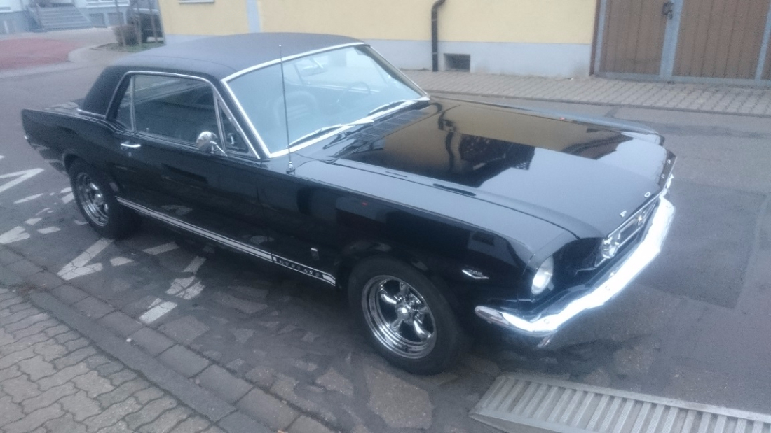 Mustang Inside(2).JPG