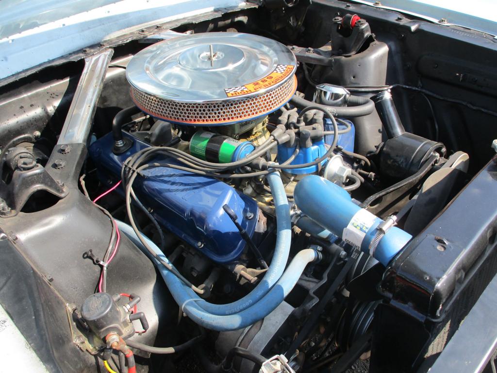 K1024_IMG_6489.JPG