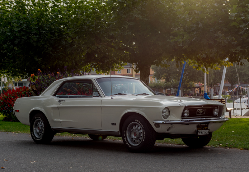 DSC_9745-1.JPG