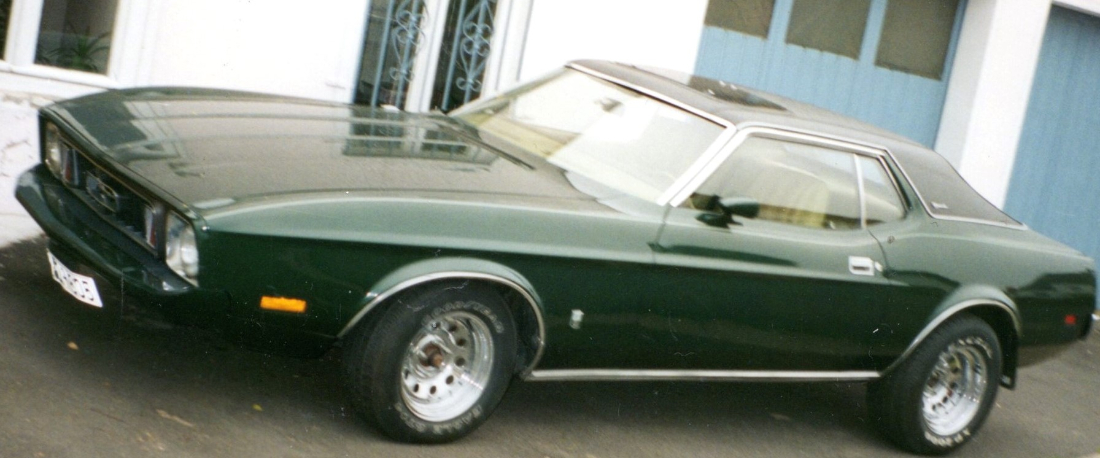 mustang0620.jpg