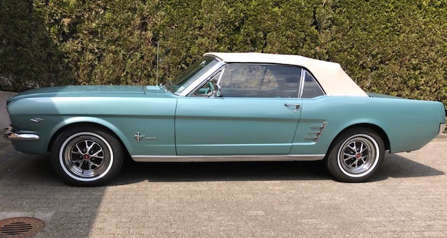 Mustang 1.jpg
