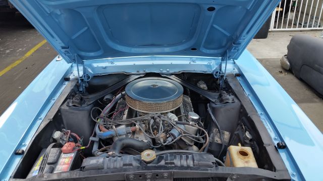 20170406_153347.jpg