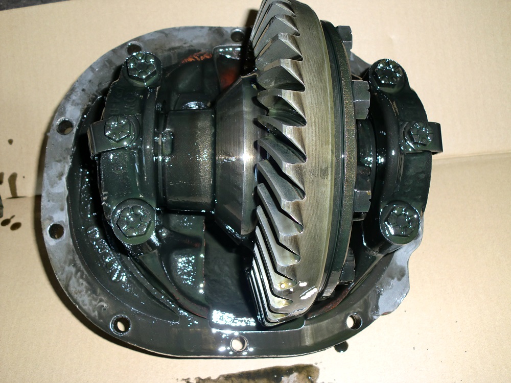 CIMG2972.JPG
