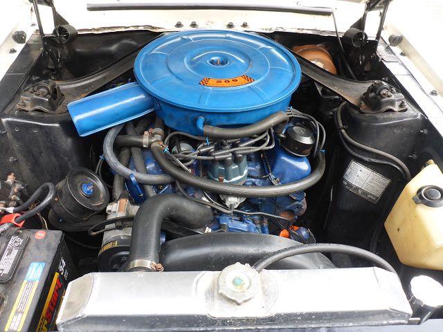 k-P1010228.JPG