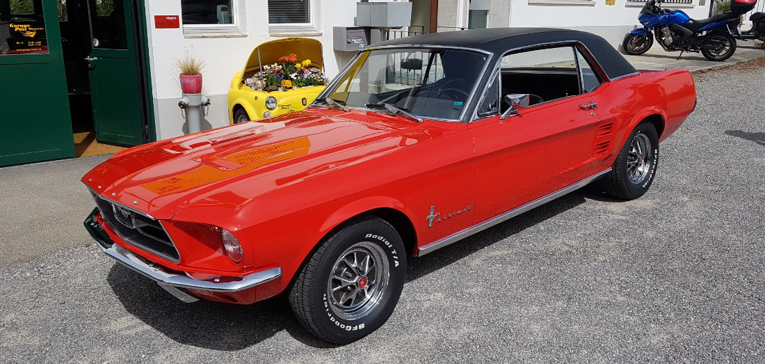 Mustang1.jpg
