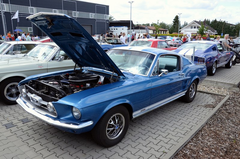 DSC_3311.JPG