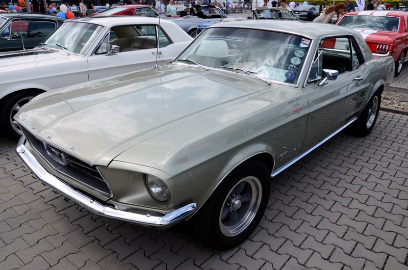 DSC_3312.JPG