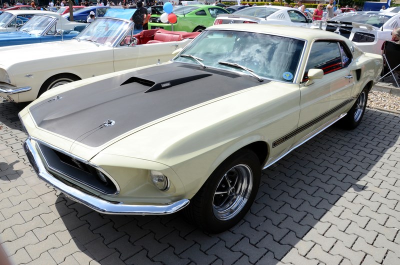 DSC_3316.JPG