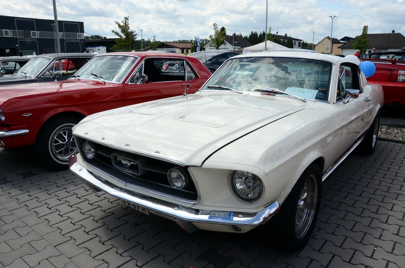 DSC_3318.JPG