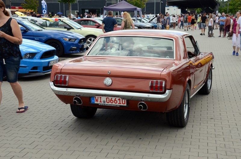 DSC_3333.JPG