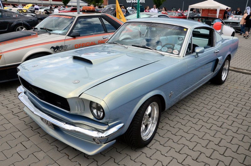 DSC_3335.JPG