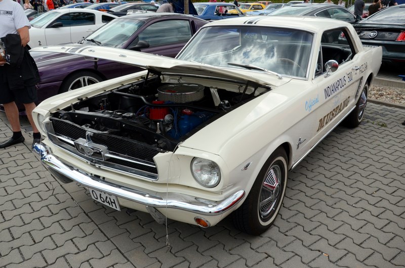 DSC_3341.JPG