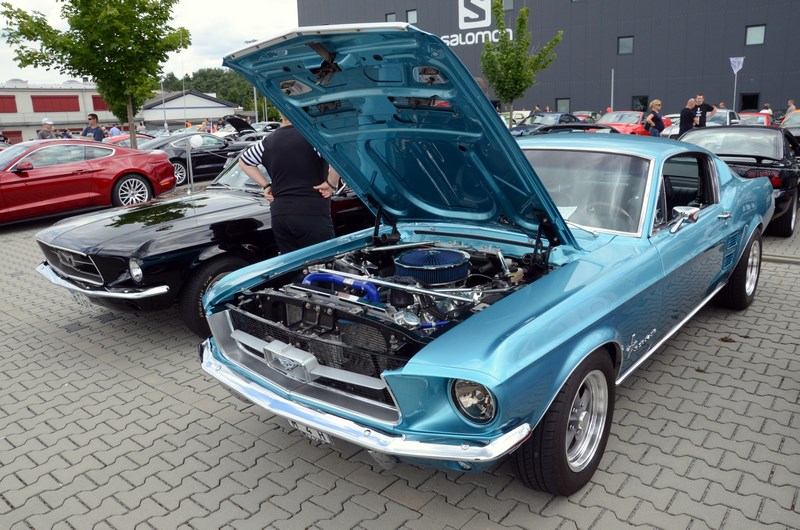 DSC_3342.JPG