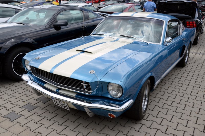 DSC_3356.JPG