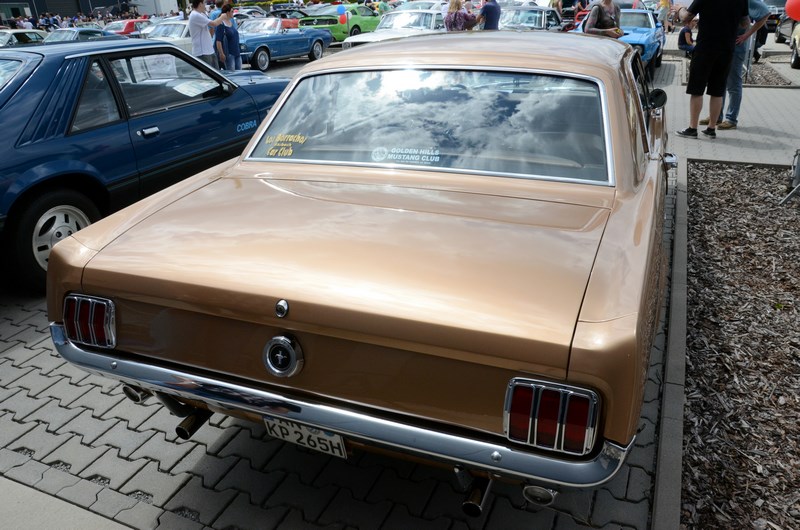 DSC_3365.JPG