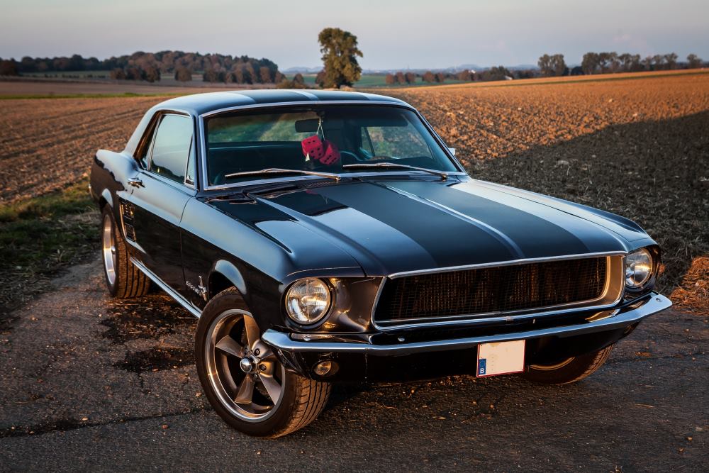 Mustang_19200003-3.jpg