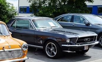 mustang.jpg
