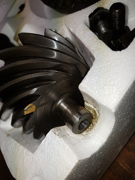 Detail Pinion.jpg