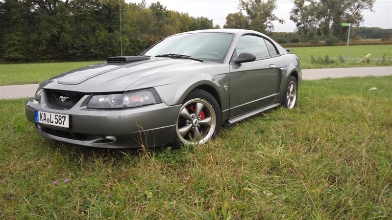 IMG_20161007_161915 (Medium).jpg