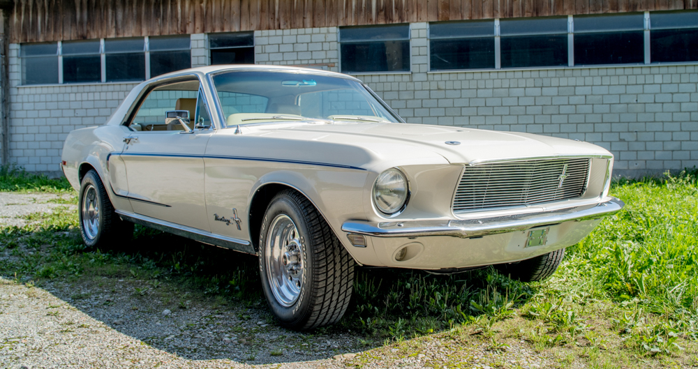 DSC_0246-2.JPG