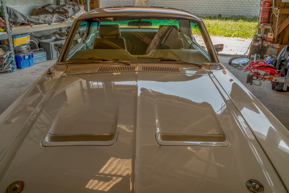 DSC_5900-2.JPG