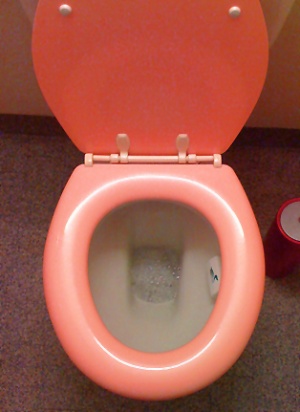 image.jpeg