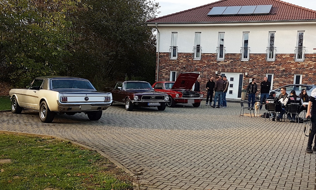 20181020_165649 (1024x618).jpg