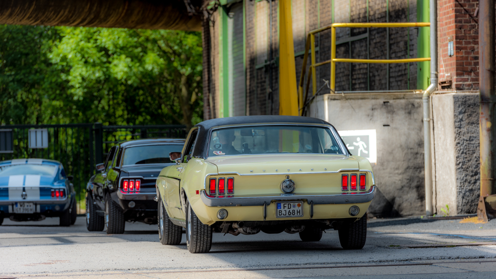 DSC_4983.JPG