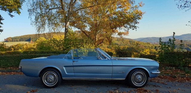 20181013_1_163929 (640x311).jpg