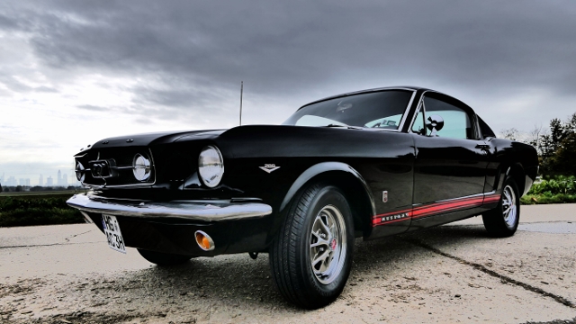 P1010701 (640x360) (640x360).jpg