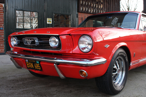 Mustang-011-klein.jpg