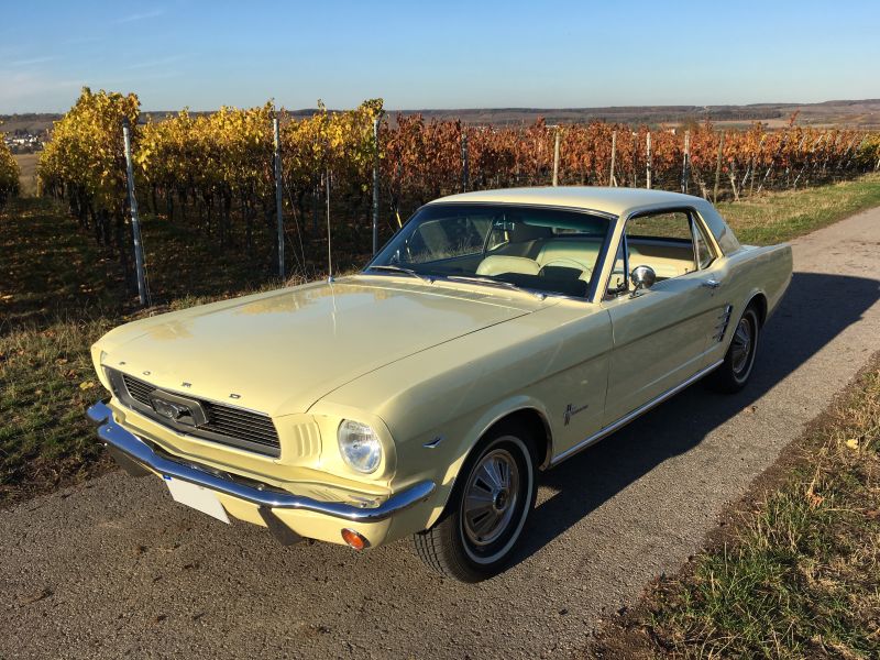 mustang_17_ohne_kennzeichen.JPG