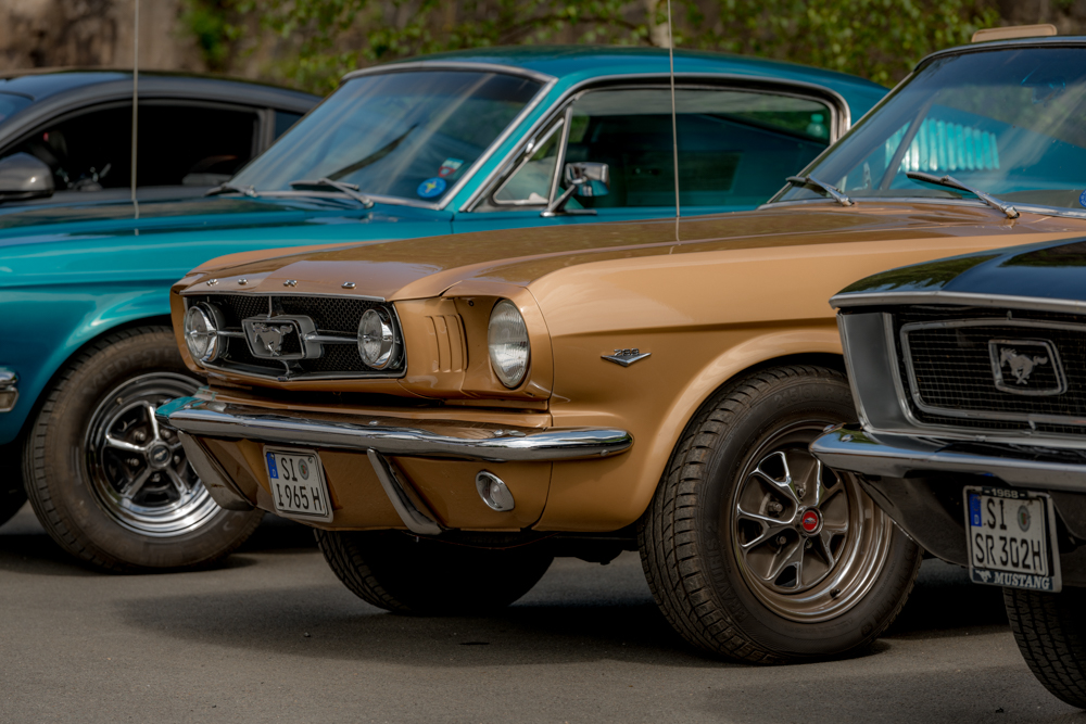 DSC_1441.JPG